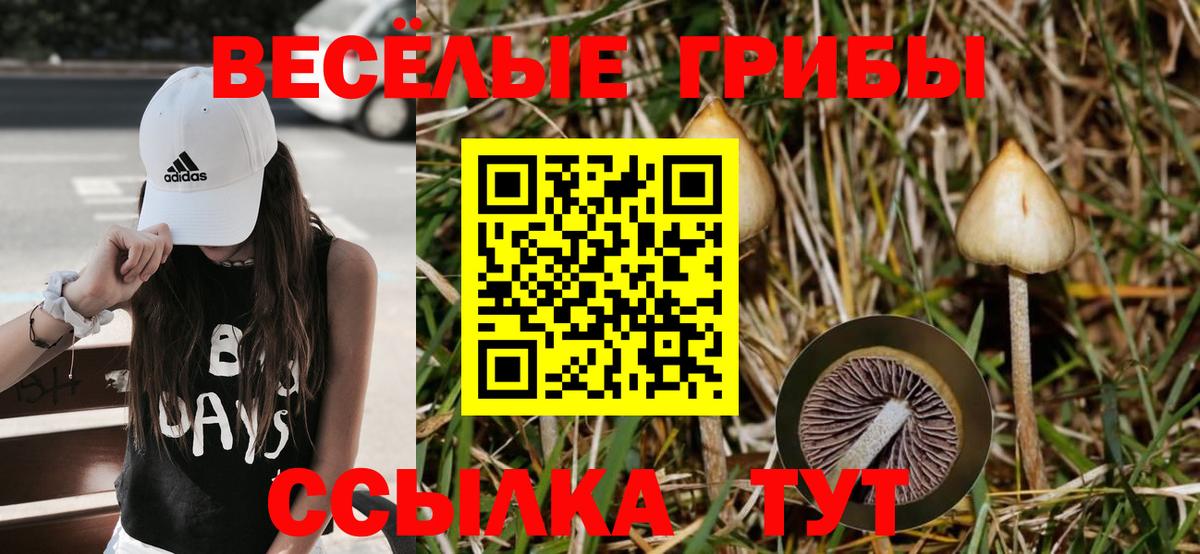 Псилоцибиновые грибы ЛСД  Вход с VPN  как найти наркотики  Сегежа 